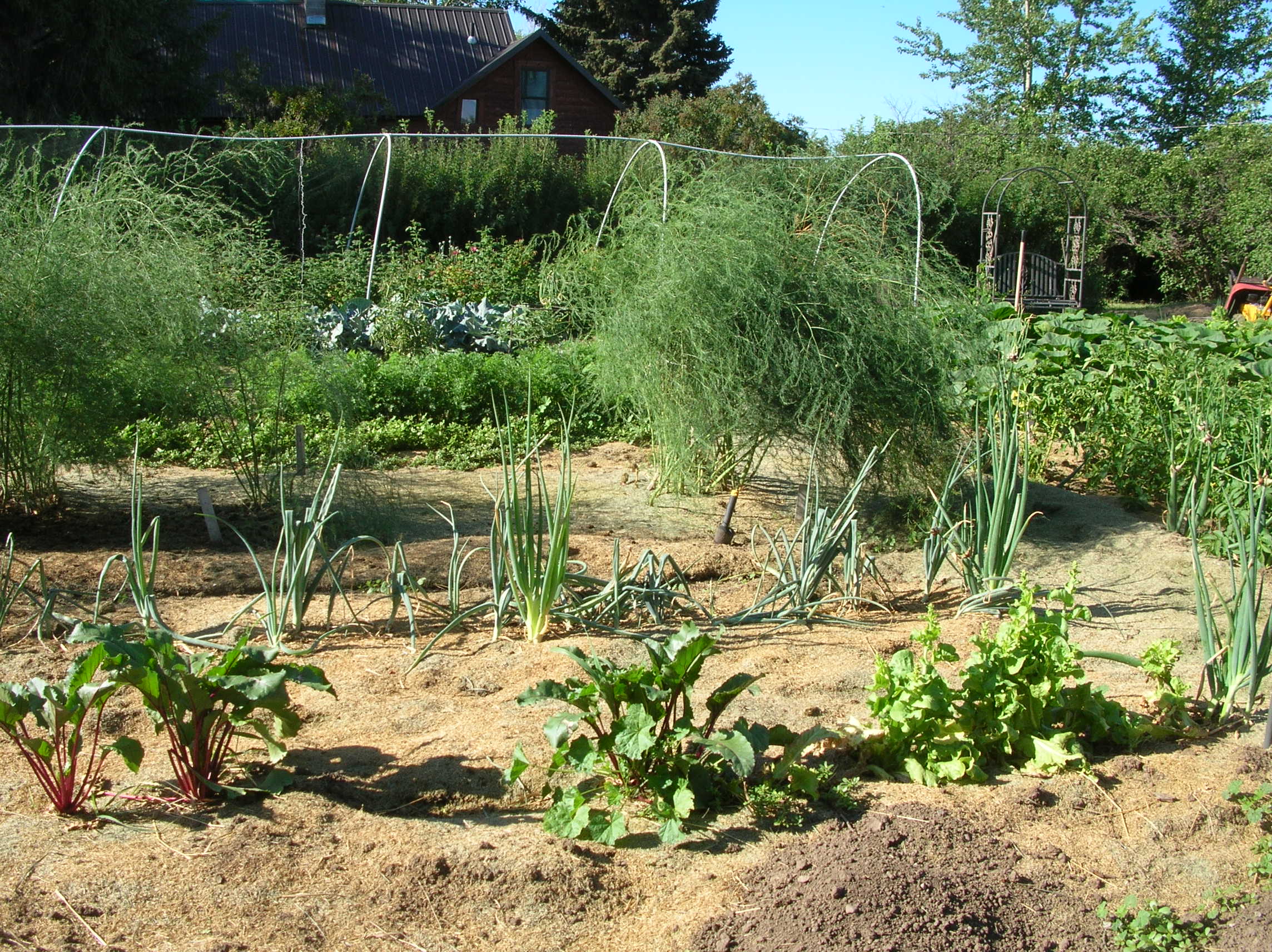 Montana Food Gardening Tips Distinctly Montana Magazine