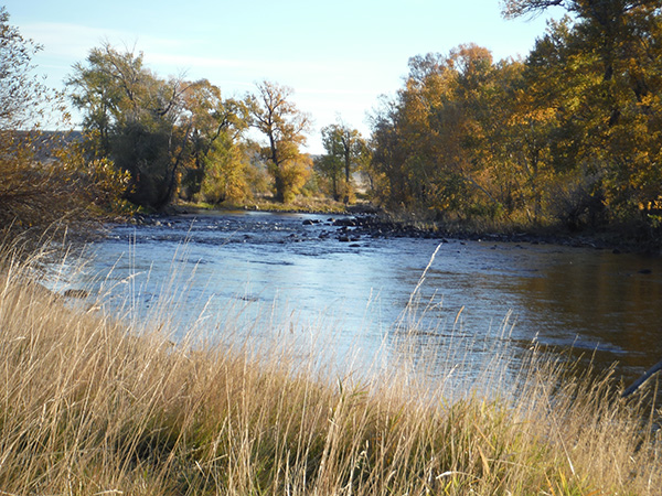 River to Ridges Ranch — Absarokee, 1,298 acres along a beautiful 172-mile stretch of the Stillwater River. $1.9M. www.livewaterproperties.com/properties/river-to-ridges-ranch/
