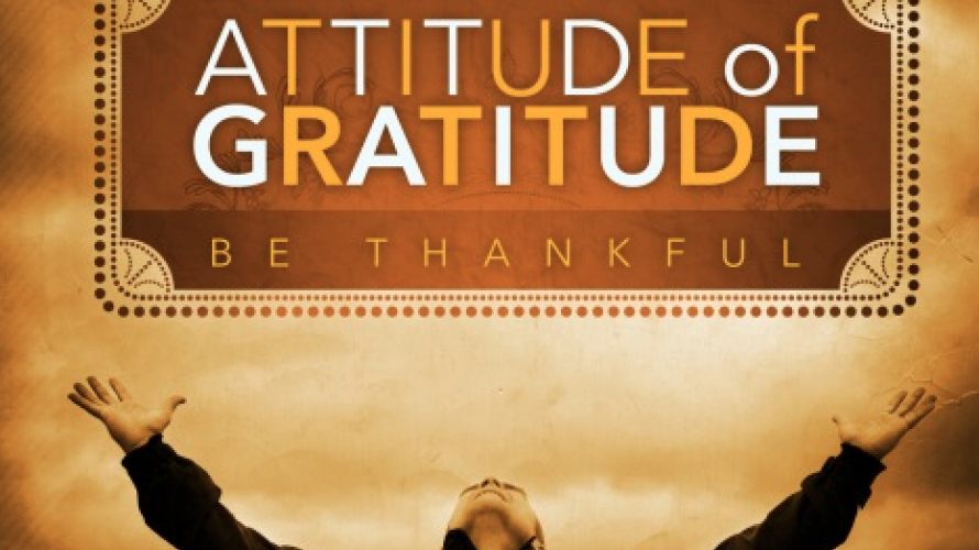 Montana gratitude
