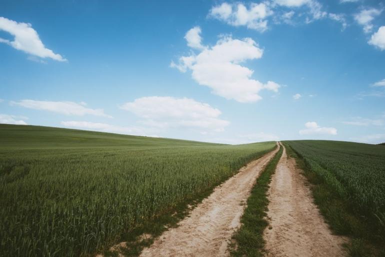 Dirt road through field