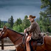 Yellowstone TV Series Cowboy