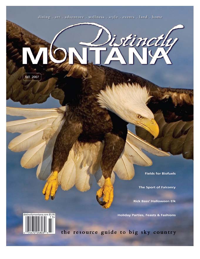 Montana bald eagle