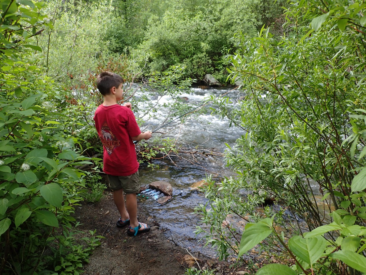 Adventure in the Little Belts