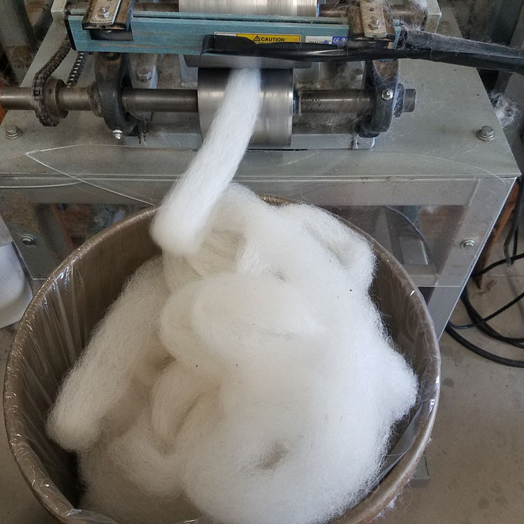 PUTTING ON THE DOG The Animal Origins of What We Wear