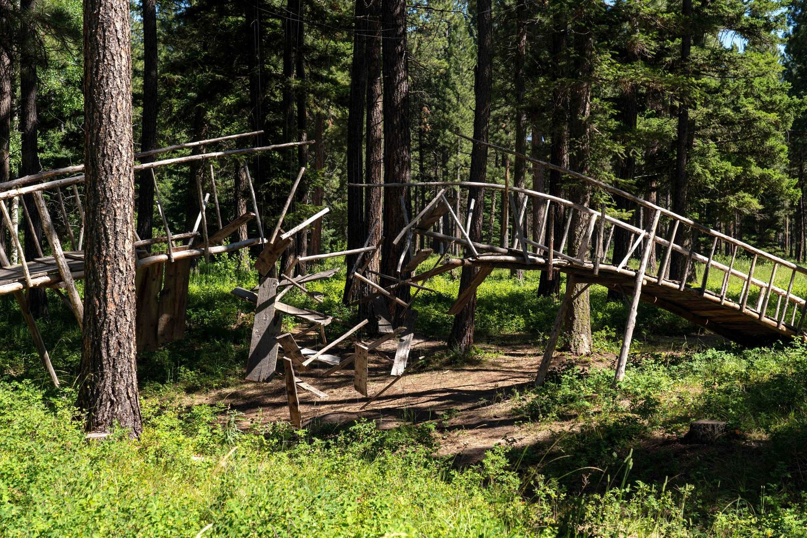 Sculpture in the Wild A Montana “Must See”