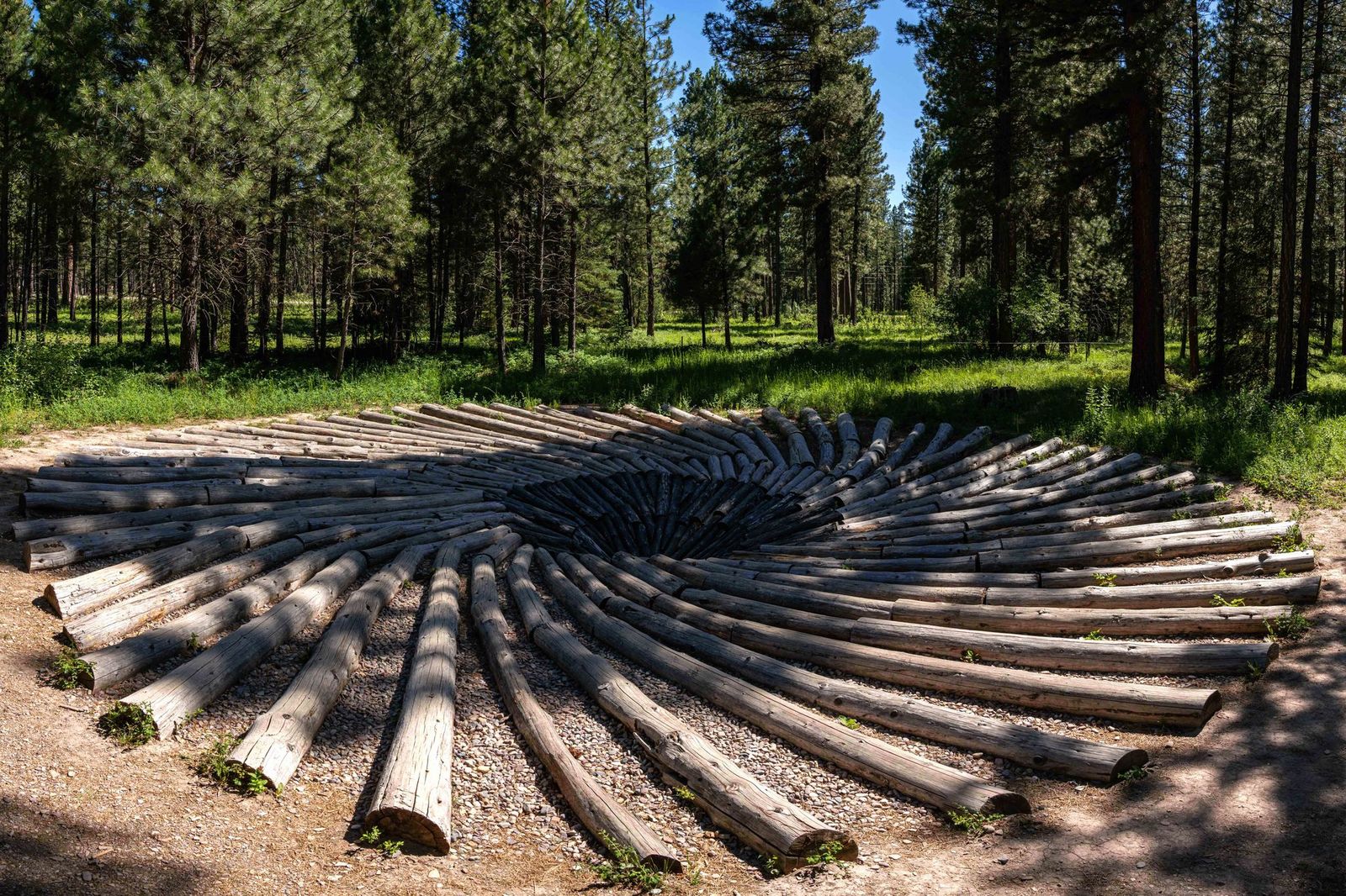 Sculpture in the Wild A Montana “Must See”