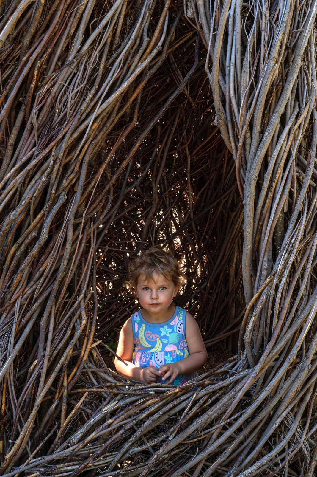 Sculpture in the Wild A Montana “Must See”