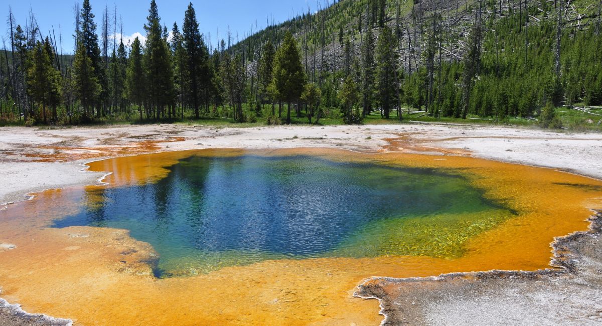 NEWS Shoe With Foot Found Floating in Yellowstone Thermal Pool