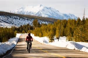 bicycling Yellowstone