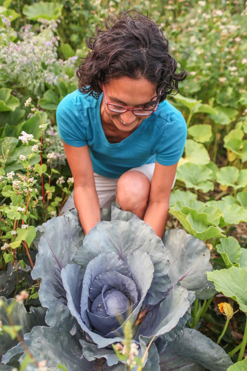 PERENNIAL CROPS