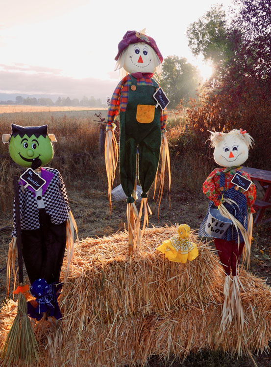  Sunrise w scarecrows