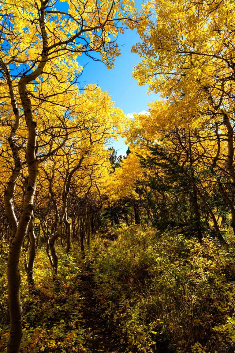 Autumn Creek Trail