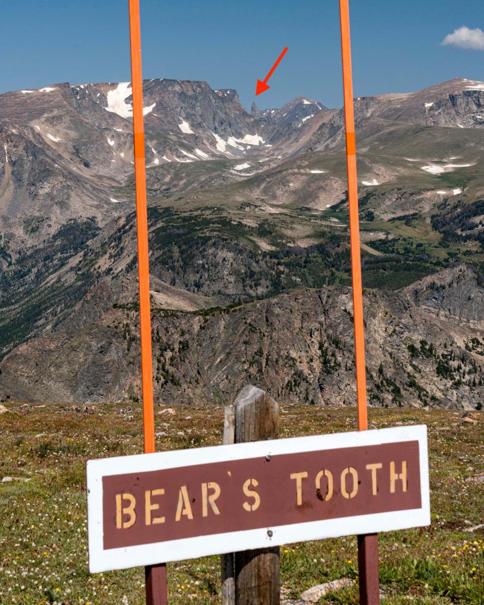 Bear's Tooth