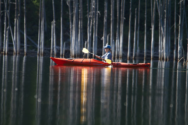 Kayaker