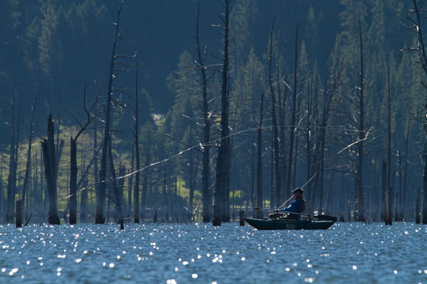 fishing