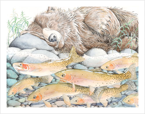 Grizzly Dreams