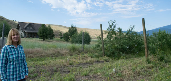 Lee McAlpine overlooks her orchard