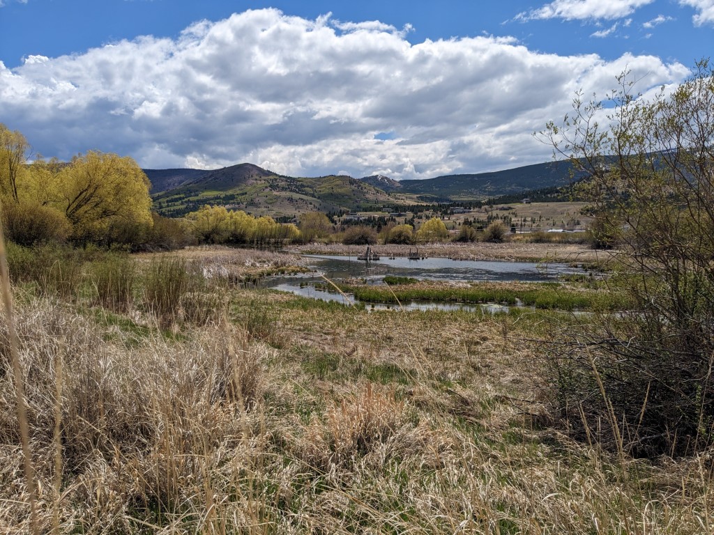 Washoe Park