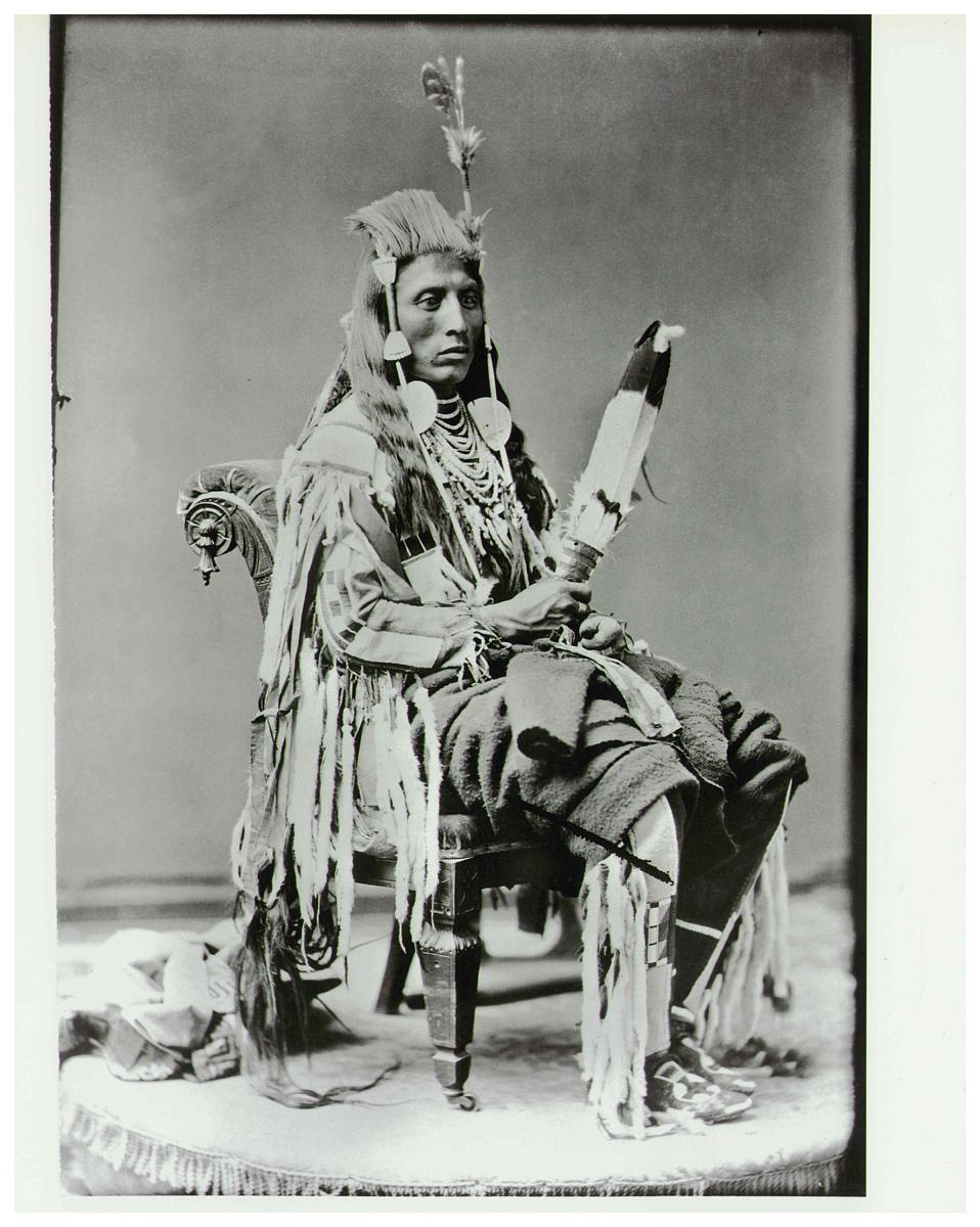 Medicine Crow, Crow, in 1880