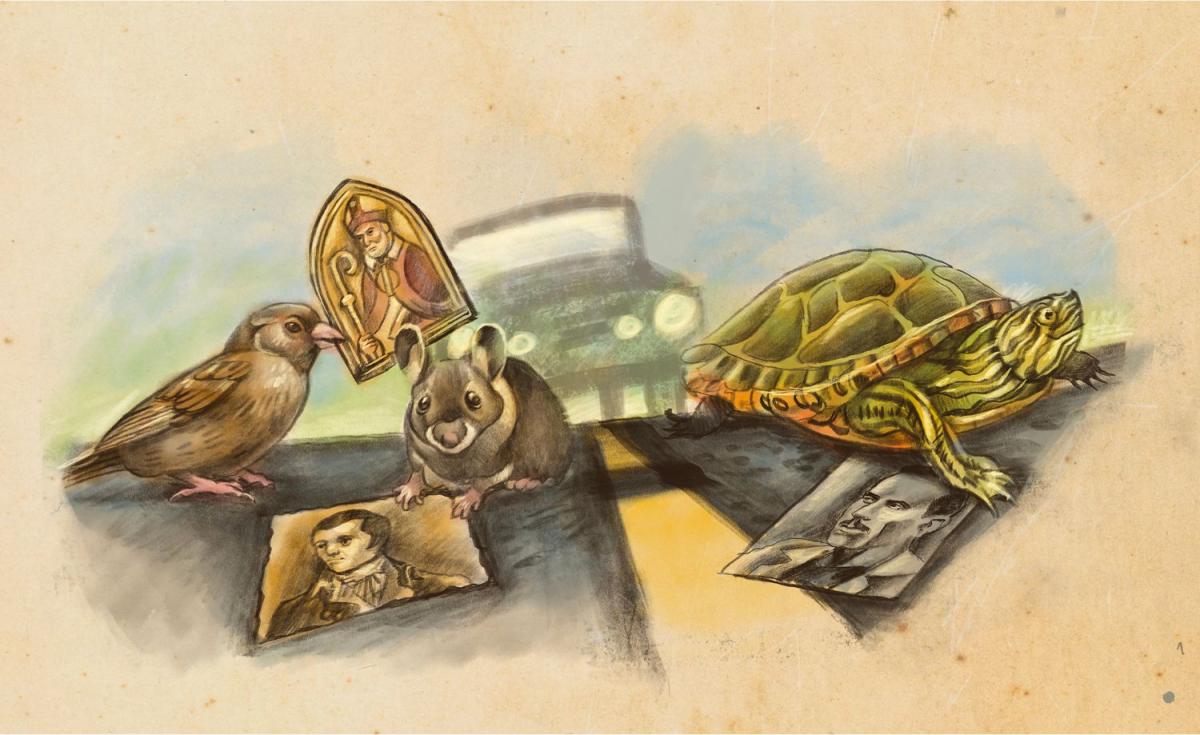 Turtles