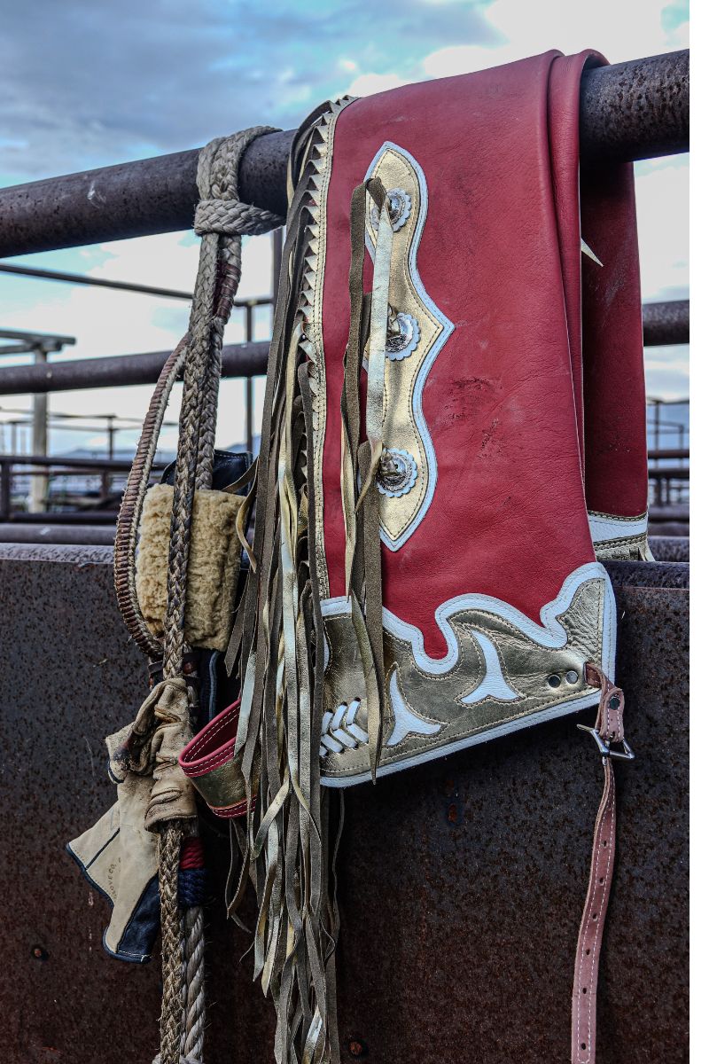 Poetry in Motion: Bronc Riding in Montana