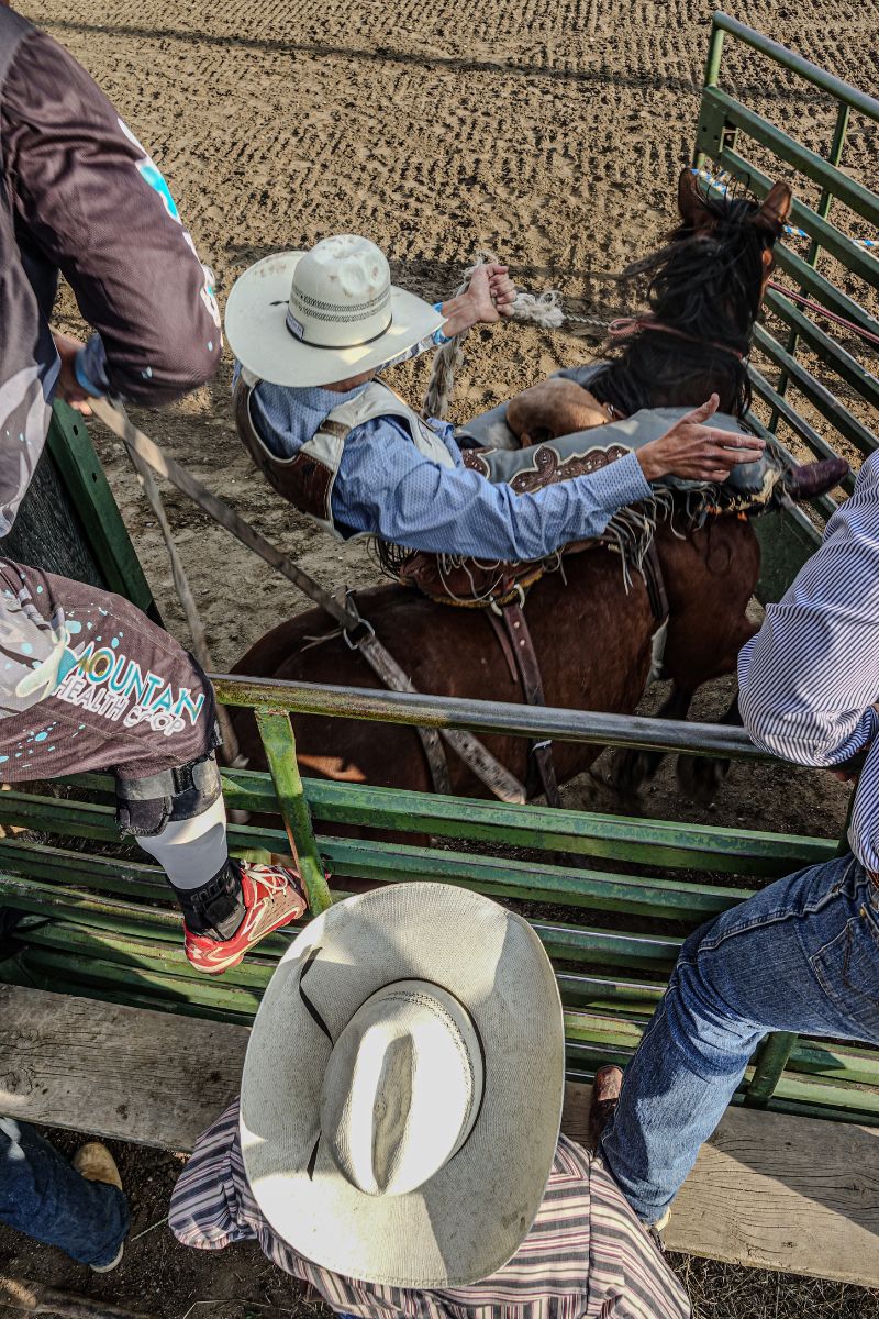 Poetry in Motion: Bronc Riding in Montana
