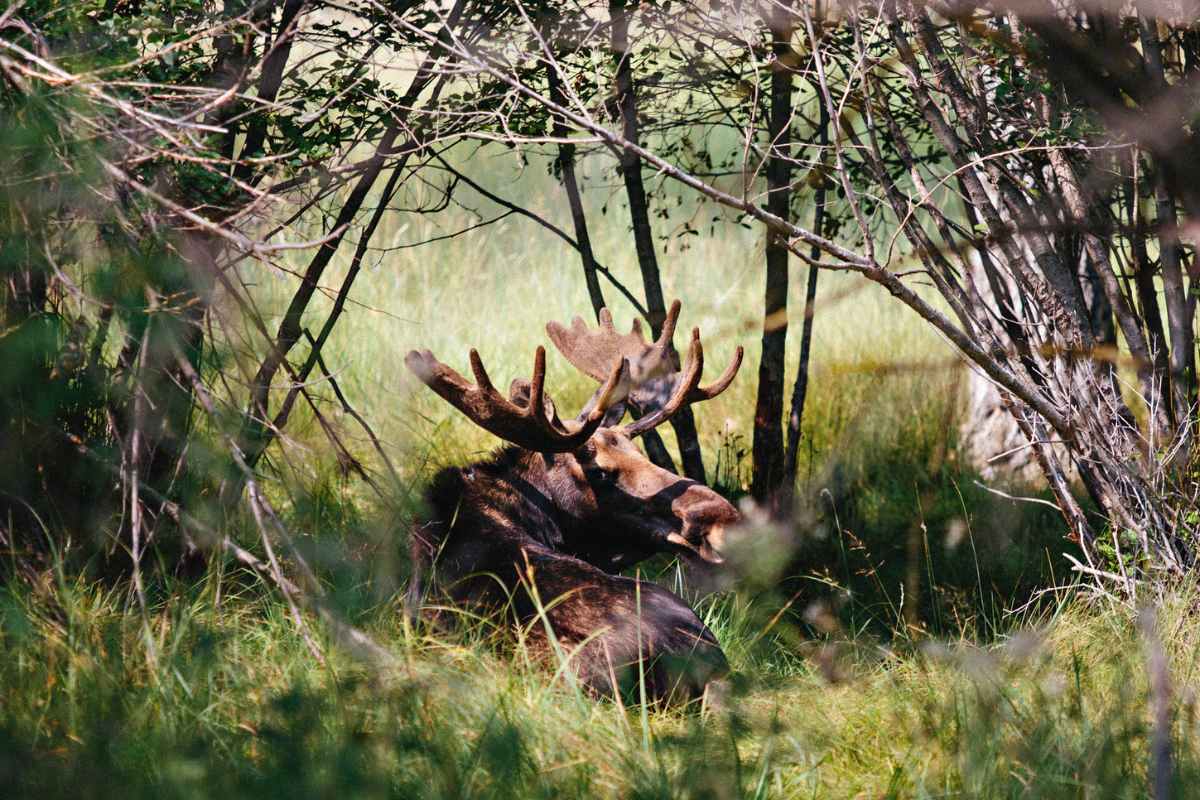 Teller Wildlife Refuge