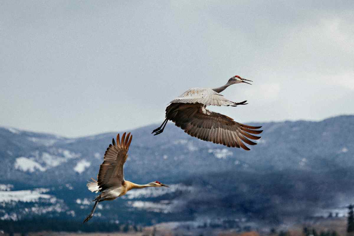 Teller Wildlife Refuge