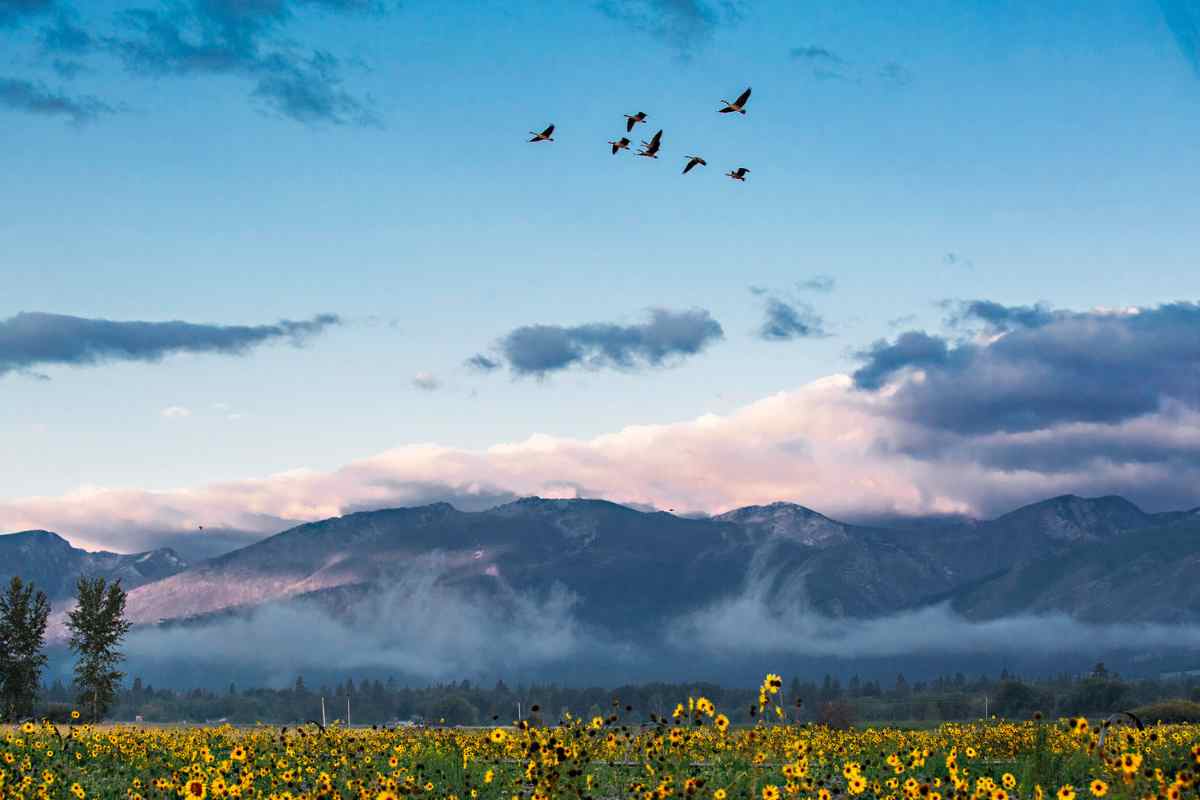 Teller Wildlife Refuge