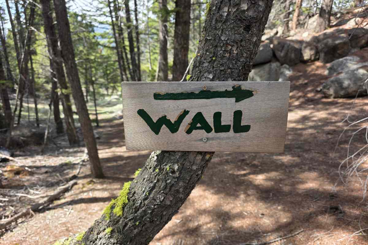 Sage Wall sign