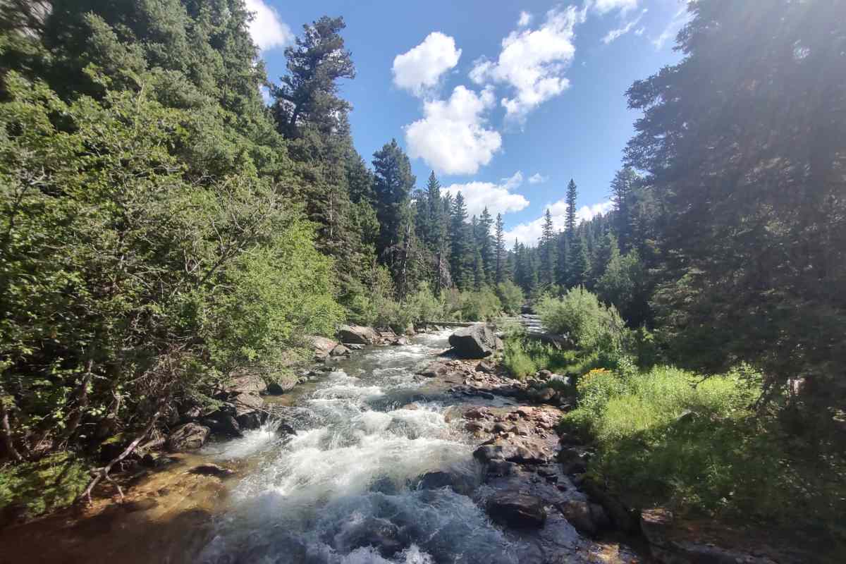 stream