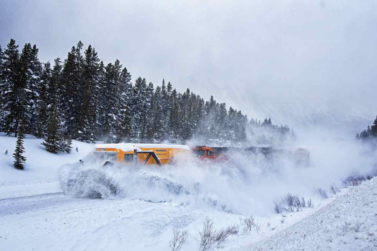 Modern snow train