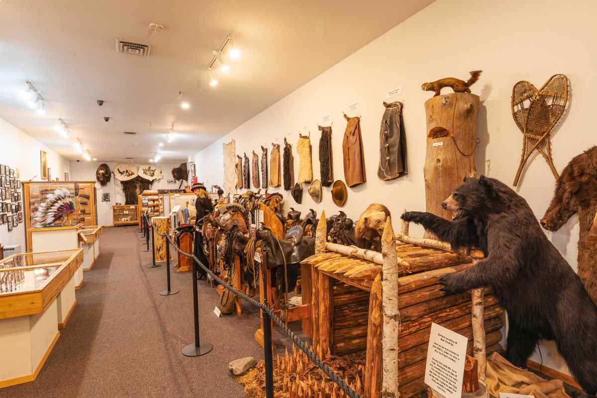 Hall of Settlers artifacts, including saddles and rifles