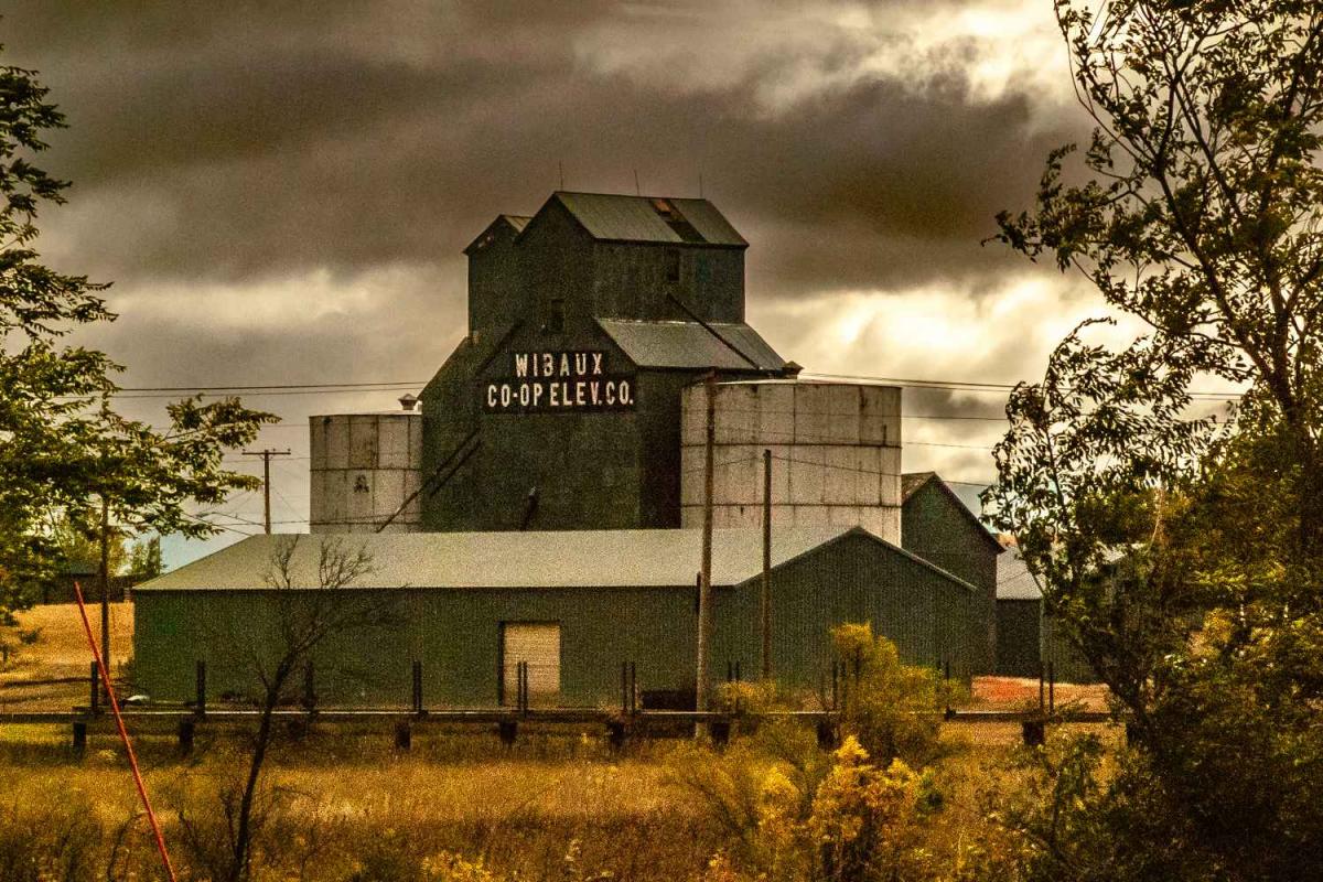 Wibaux