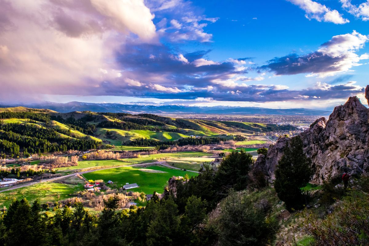 Bozeman