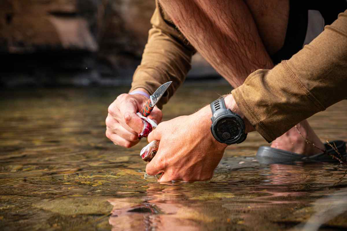 Montana Veteran's Program