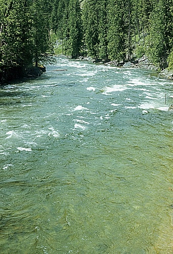 Selway River 