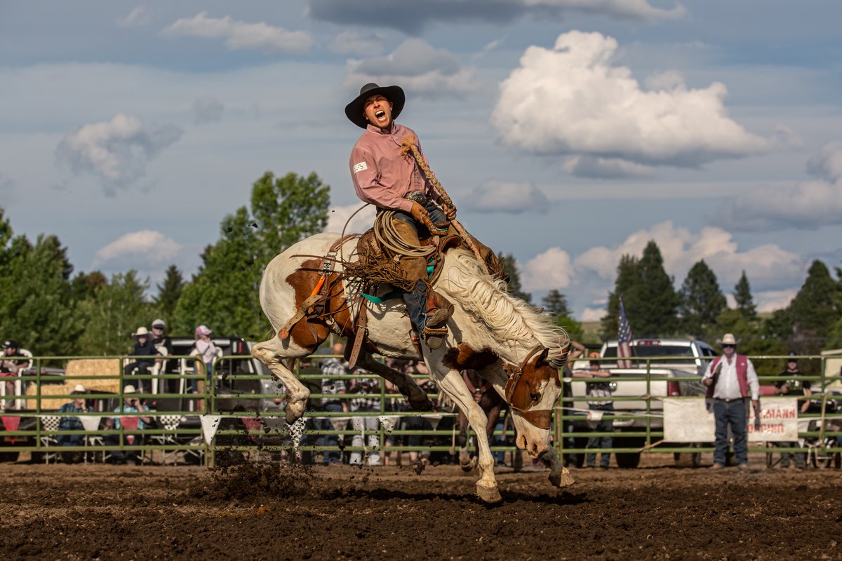 A bronc rider at a Montana rodeo