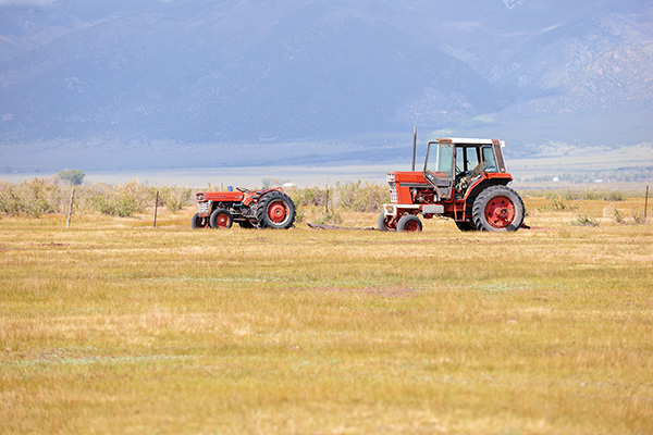 FARMS & RANCHES