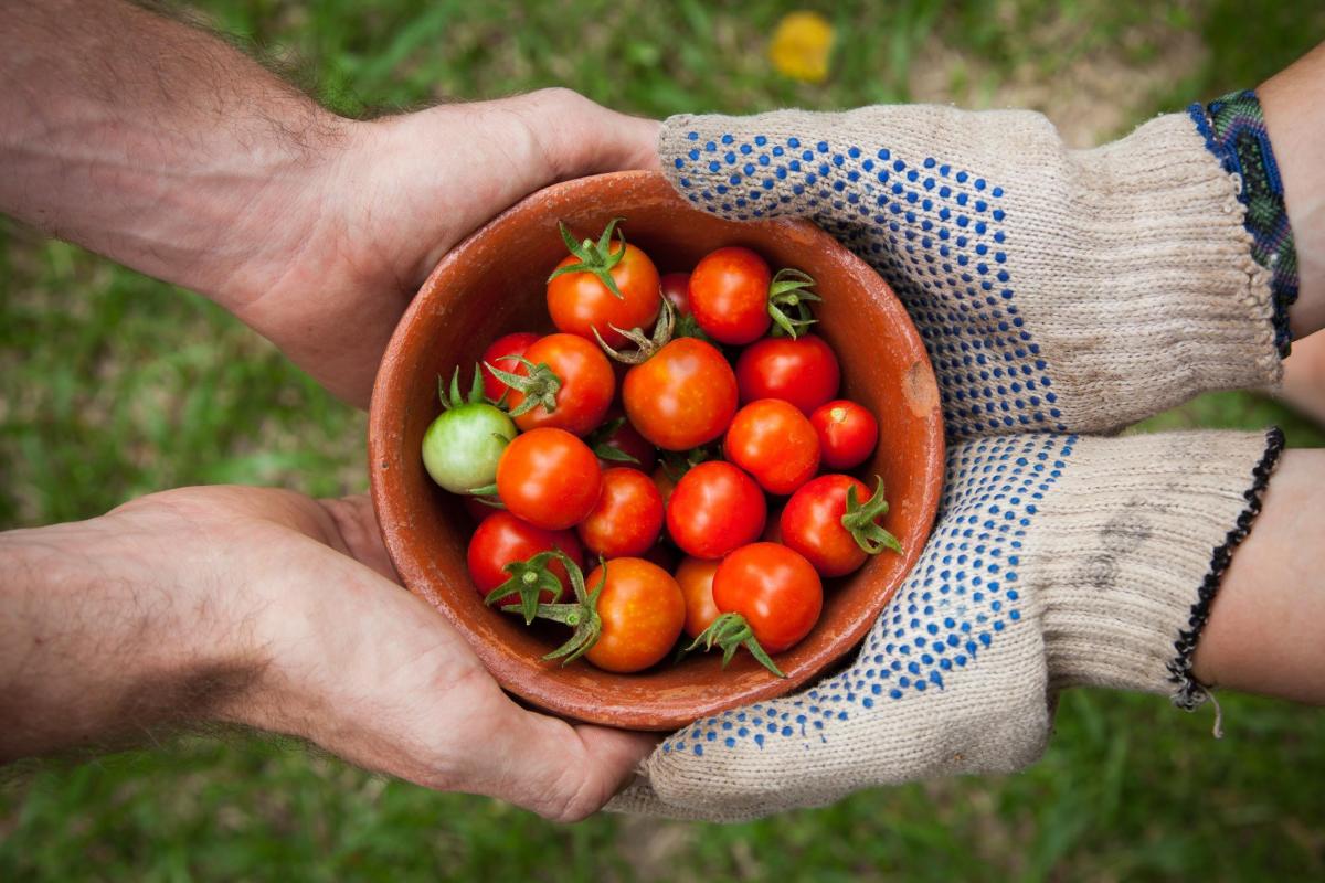 Gardening