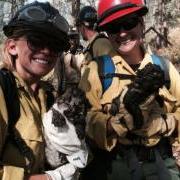 lion cubs rescued