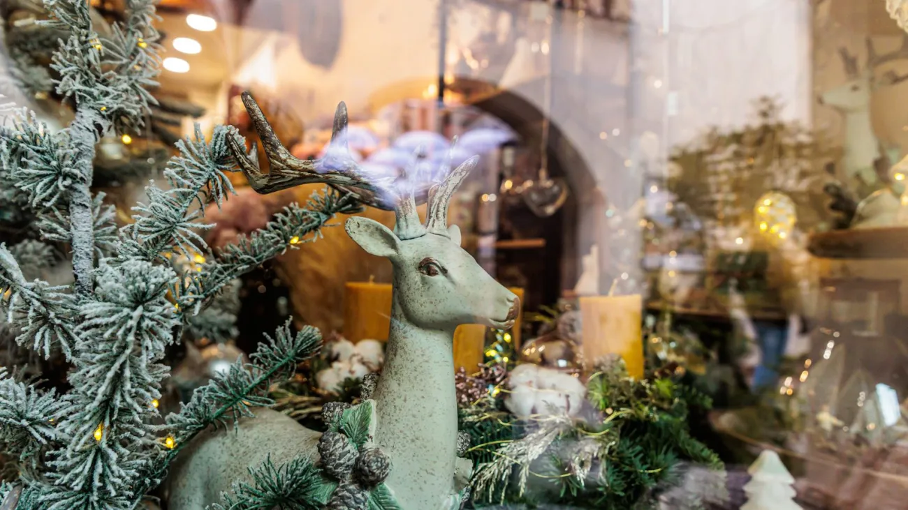 Christmas window display with a decorative reindeer and frosted pine