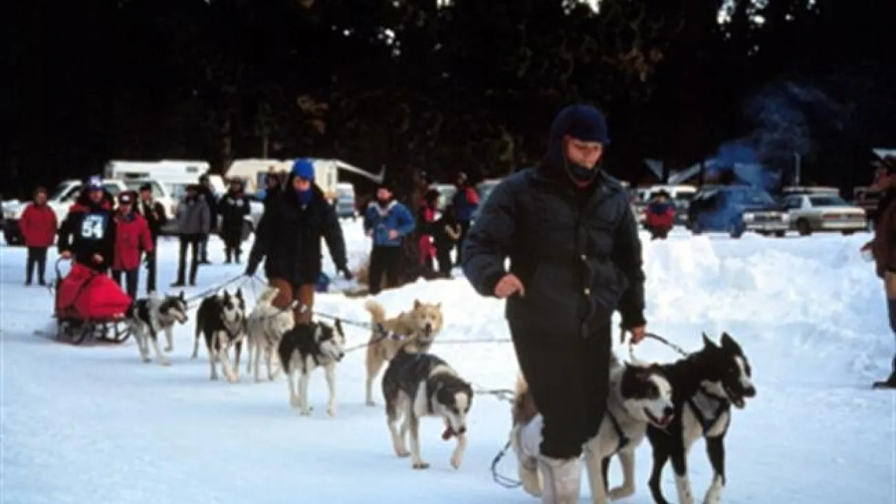 Race to the Sky Sled Dog Race, Lincoln