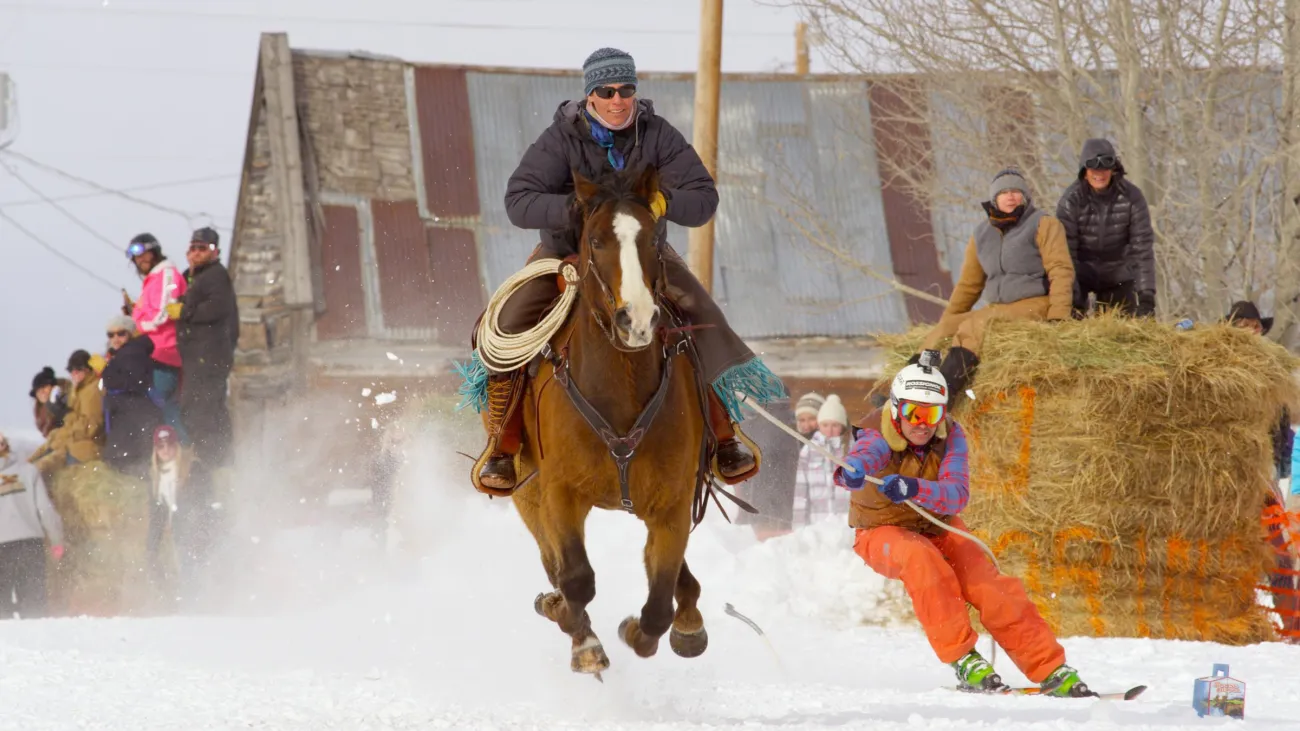 Big Hole Valley Skijoring, Wisdom