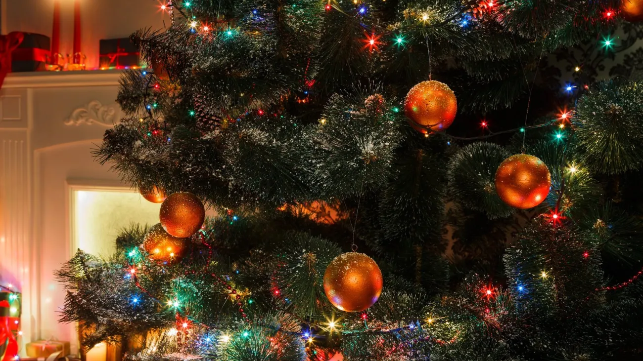 The People’s Tree Celebration: Whistlestop Tour 2026, Gardiner