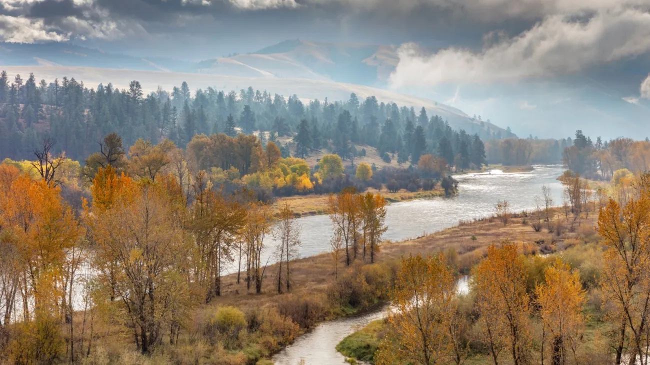 First Friday at MAM: Gallery Talk "On Darkness: shifting perceptions", Missoula