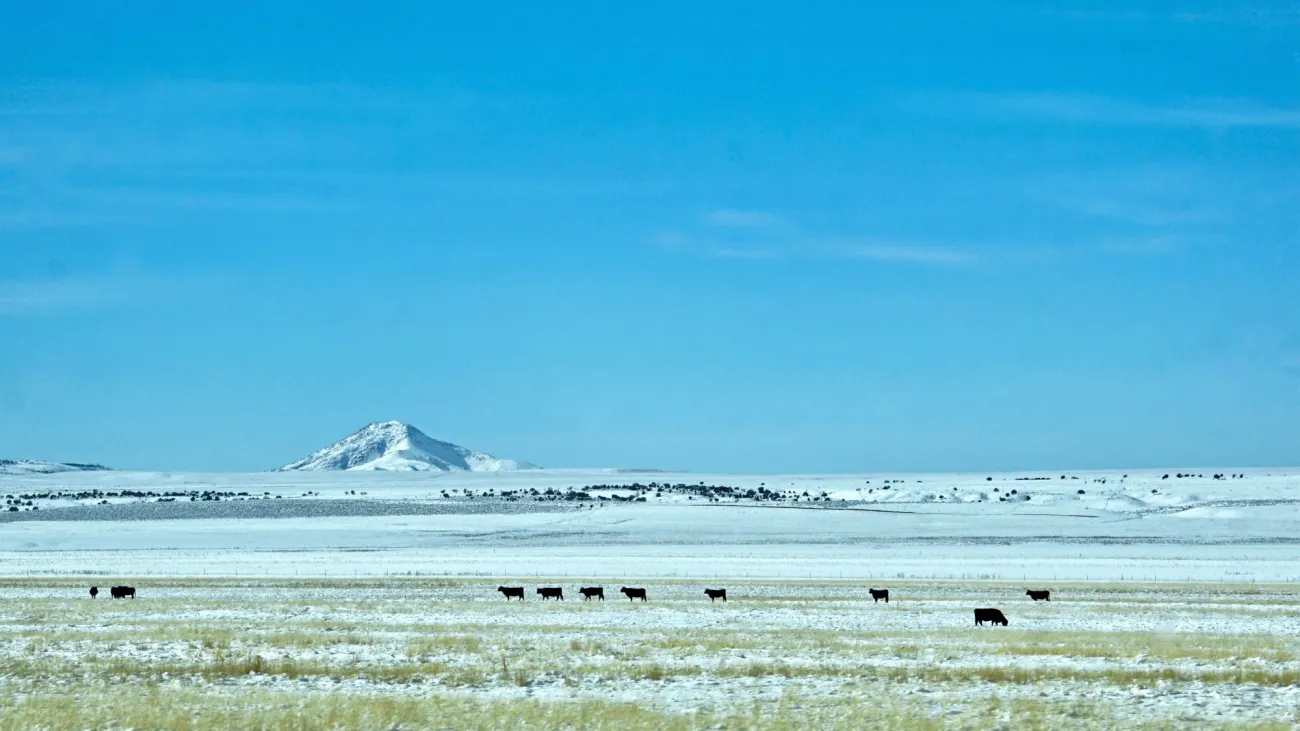Montana Winter Fair, Lewistown