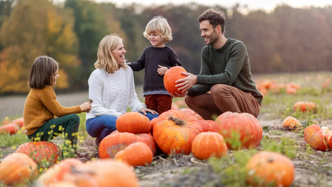 Pumpkin Toss at Sweet Pickins Pumpkin Patch, Kalispell