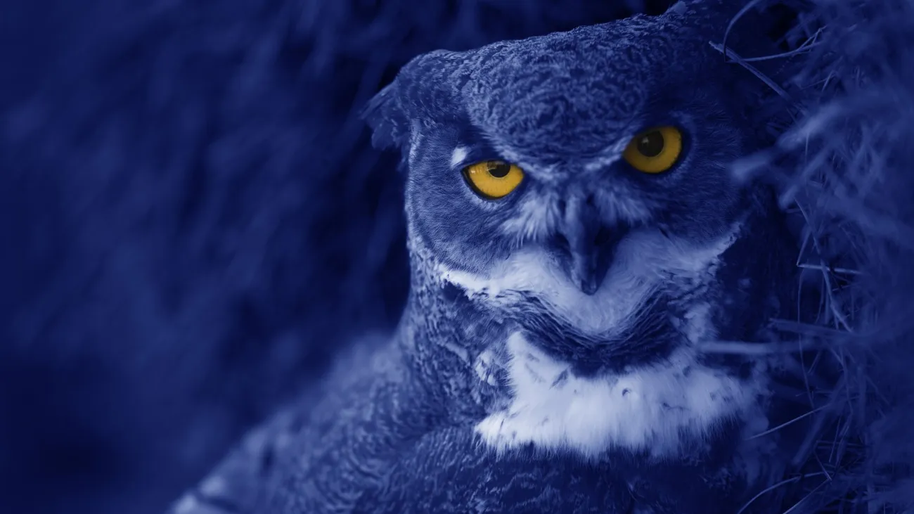 Owl-O-Ween, Helena