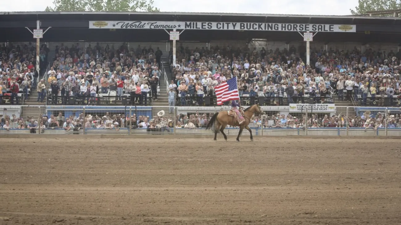 Miles City Bucking Horse Sale, Miles City